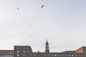 View of the Hamburger Michel. Landmark of Hamburg. View of the Hamburger Michel. Landmark of Hamburg.